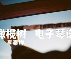 橄榄树   电子琴谱吉他谱_李泰祥_原版指弹吉他简谱