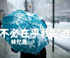 不必在乎我是谁吉他谱_林忆莲_原版弹唱吉他简谱