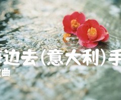啊,到海边去(意大利)手风琴谱吉他谱_拿波里歌曲_原版弹唱吉他简谱