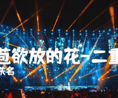含苞欲放的花-二重唱吉他谱_佚名_D调_原版弹唱吉他简谱