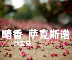 暗香（萨克斯谱）吉他谱_沙宝亮_原版弹唱吉他简谱