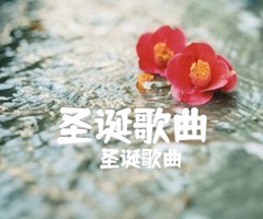 《圣诞歌曲吉他谱》_圣诞歌曲_吉他图片谱1张