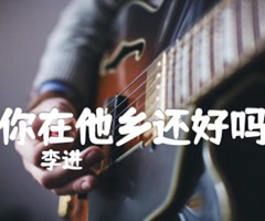 你在他乡还好吗吉他谱_李进_原版指弹吉他简谱