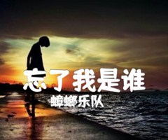忘了我是谁吉他谱_蟑螂乐队_原版指弹吉他简谱