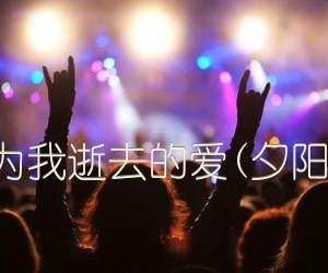 为我逝去的爱(夕阳)吉他谱_佚名_原版弹唱吉他简谱