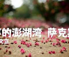 《外婆的澎湖湾（萨克斯谱）吉他谱》_刘文正_吉他图片谱1张