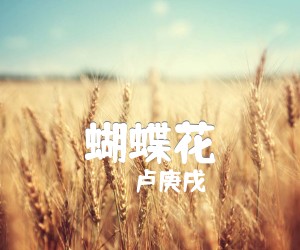 蝴蝶花吉他谱_卢庚戌_原版指弹吉他简谱