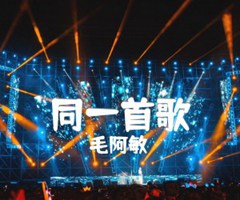 同一首歌吉他谱_毛阿敏_原版弹唱吉他简谱