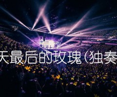 夏天最后的玫瑰(独奏曲)吉他谱_佚名_原版弹唱吉他简谱