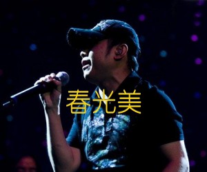 《春光美吉他谱》_刀郎_C调_吉他图片谱1张