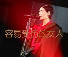 容易受伤的女人吉他谱_王菲_原版指弹吉他简谱