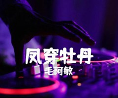 凤穿牡丹吉他谱_毛阿敏_C调_原版指弹吉他简谱