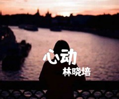 心动吉他谱_林晓培_原版指弹吉他简谱