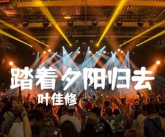 《踏着夕阳归去吉他谱》_叶佳修_吉他图片谱1张