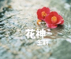 《花神吉他谱》_王莉_E调_吉他图片谱1张