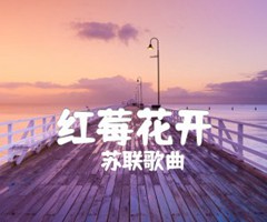 红莓花开吉他谱_苏联歌曲_原版弹唱吉他简谱