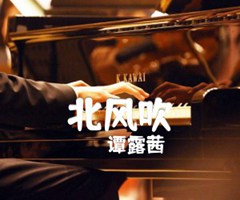 《北风吹吉他谱》_谭露茜_G调_吉他图片谱1张