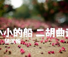 小小的船 二胡曲谱吉他谱_胡汉娟_原版弹唱吉他简谱