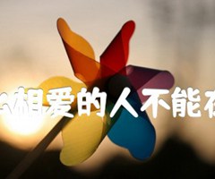 《为什么相爱的人不能在一起吉他谱》_郑源_D调_吉他图片谱1张