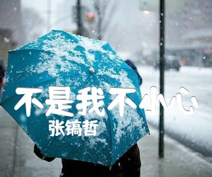 《不是我不小心吉他谱》_张镐哲_G调_吉他图片谱1张