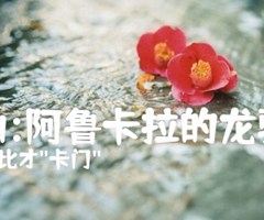 《选曲:阿鲁卡拉的龙骑兵吉他谱》_法比才