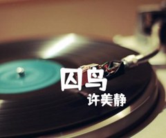 《囚鸟吉他谱》_许美静_吉他图片谱1张