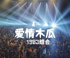 爱情木瓜吉他谱_1983组合_D调_原版弹唱吉他简谱