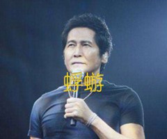 蜉蝣吉他谱_齐秦_F调_原版指弹吉他简谱