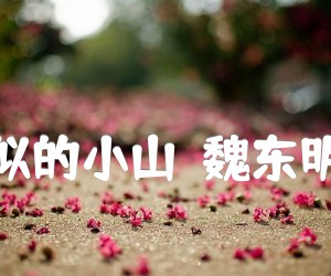 《金瓶似的小山（魏东明改编）吉他谱》_冰河_吉他图片谱1张