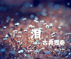 泪吉他谱_古典独奏_原版指弹吉他简谱