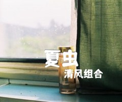 《夏虫吉他谱》_清风组合_吉他图片谱5张