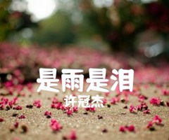 是雨是泪吉他谱_许冠杰_G调_原版指弹吉他简谱