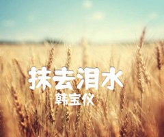 《抹去泪水（）吉他谱》_韩宝仪_C调_吉他图片谱5张