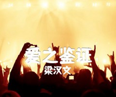 爱之鉴证吉他谱_梁汉文_C调_原版弹唱吉他简谱