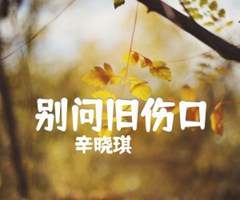 别问旧伤口吉他谱_辛晓琪_G调_原版指弹吉他简谱