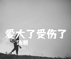 爱大了受伤了吉他谱_汤潮_G调_原版指弹吉他简谱