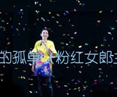《一辈子的孤单（粉红女郎主题歌）吉他谱》_刘若英_D调_吉他图片谱5张