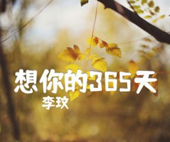 想你的365天吉他谱_李玟_D调_原版弹唱吉他简谱