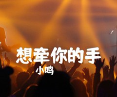 想牵你的手吉他谱_小鸣_原版弹唱吉他简谱