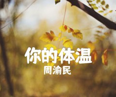 《你的体温吉他谱》_周渝民_吉他图片谱3张