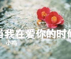 《当我在爱你的时候吉他谱》_小鸣_吉他图片谱1张