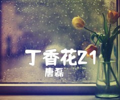 丁香花21吉他谱_唐磊_原版指弹吉他简谱