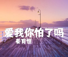 爱我你怕了吗吉他谱_姜育恒_B调_原版指弹吉他简谱