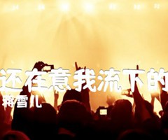 谁还在意我流下的泪吉他谱_蒋雪儿_C调_原版弹唱吉他简谱