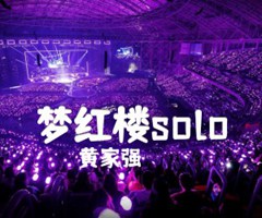 《梦红楼solo吉他谱》_黄家强_吉他图片谱4张