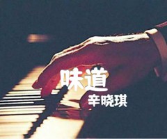 味道吉他谱_辛晓琪_原版弹唱吉他简谱