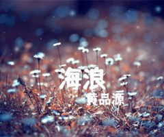 《海浪吉他谱》_黄品源_G调_吉他图片谱4张