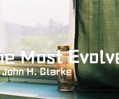 《The Most Evolved吉他谱》_John H. Clarke_吉他图片谱8张