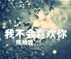 《我不会喜欢你吉他谱》_陈柏霖_吉他图片谱3张