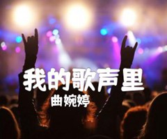 《我的歌声里吉他谱》_曲婉婷_吉他图片谱1张